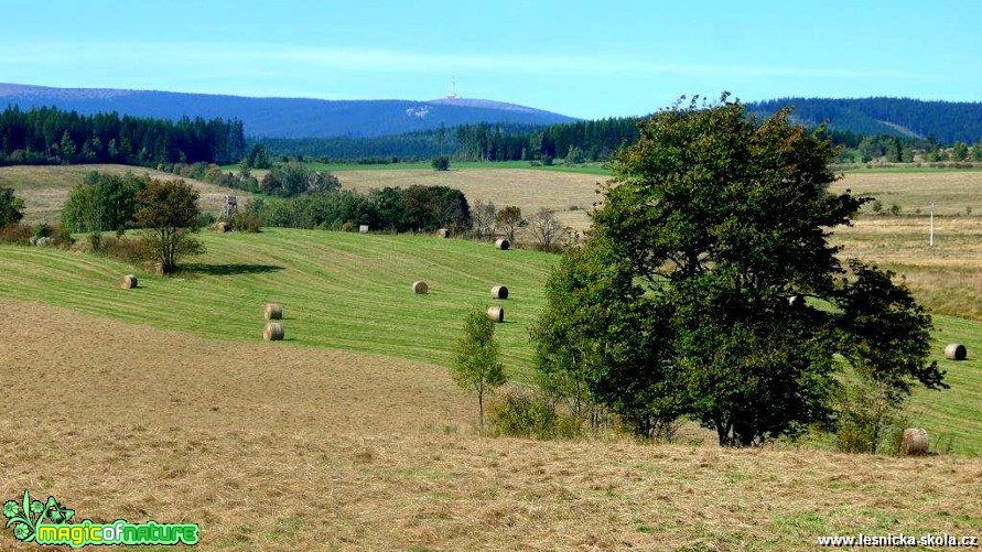 Hrubý Jeseník - Morgenland - Foto Jaroslav Pávek (1)