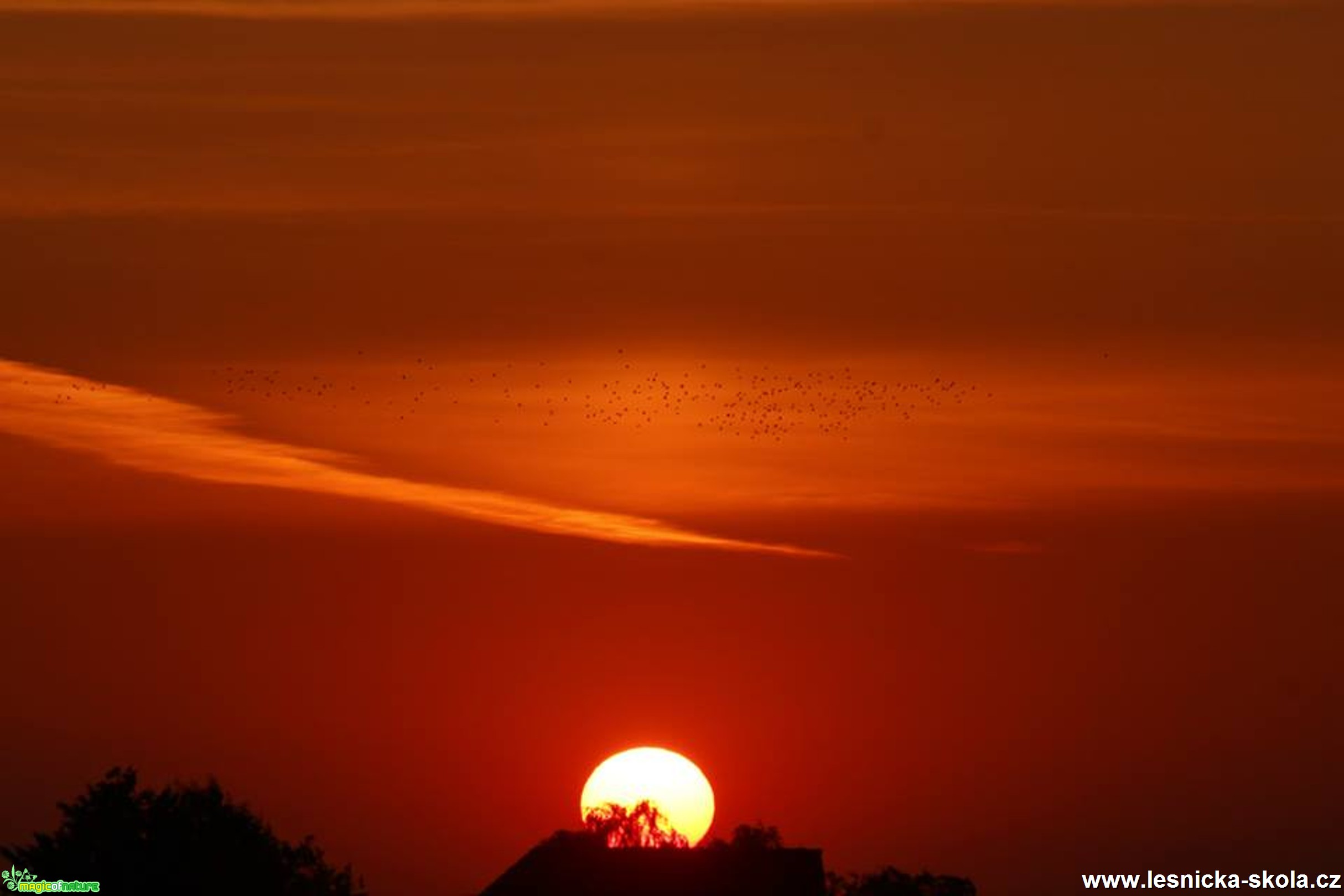 Při západu slunce - Foto Ladislav Jonák (6)