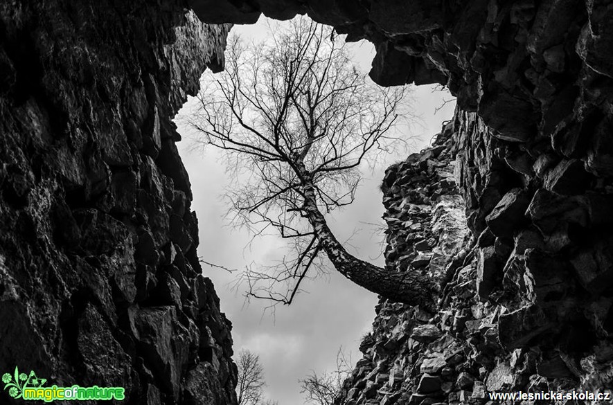 Ve skále - Foto Dezider Tocka