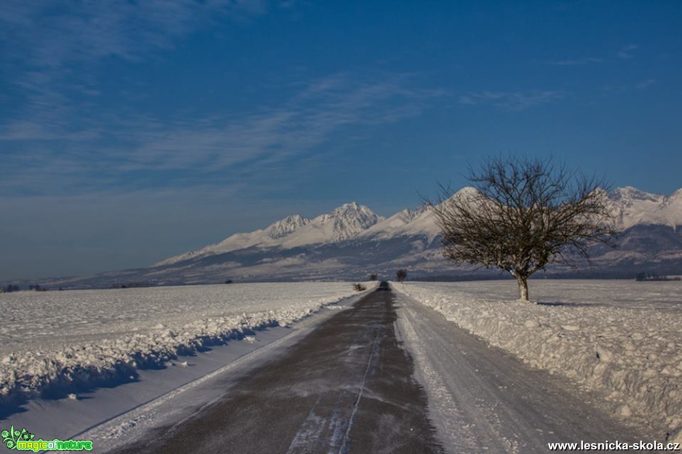 Silnice - Foto Jozef Pitoňák