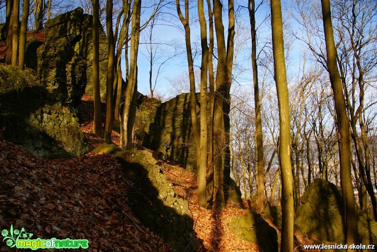 Chotovický vrch - Foto Petr Germanič (1)