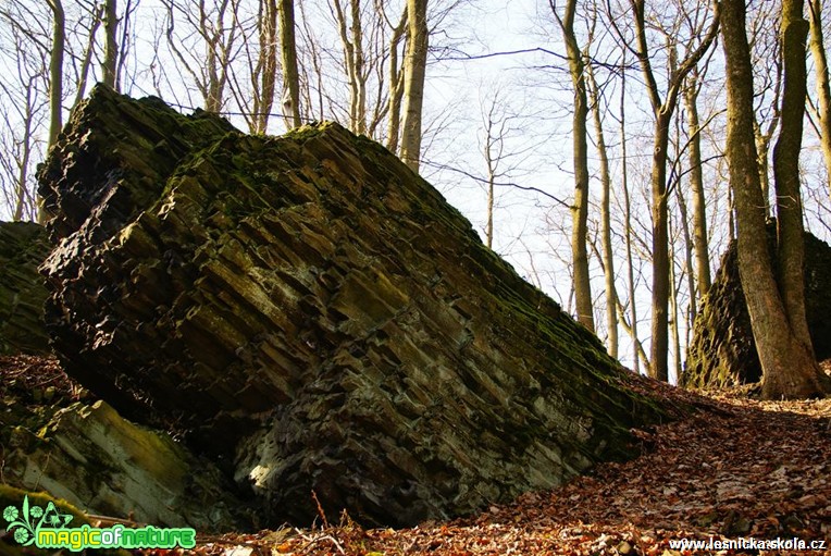 Chotovický vrch - Foto Petr Germanič (2)