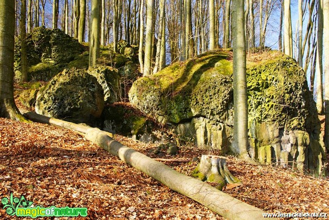 Chotovický vrch - Foto Petr Germanič