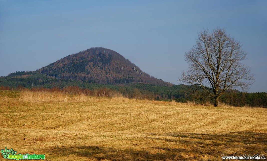 Předjarní - Foto Petr Germanič (1)