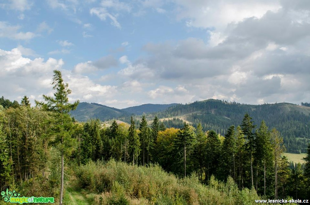 Okolí rozhledny na Bobovci - Foto Dezider Tocka (1)