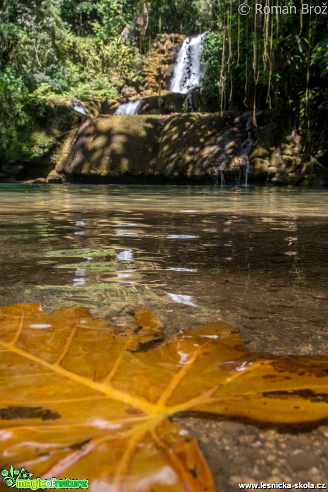 Y. S. Falls  - Foto Roman Brož (1)