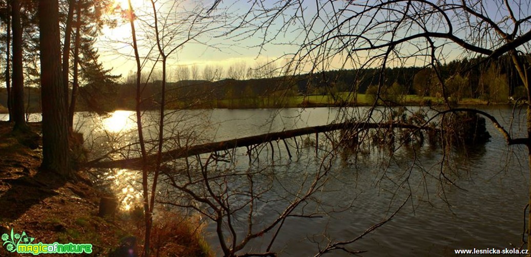 Toulání kolem vody - Foto Ladislav Jonák