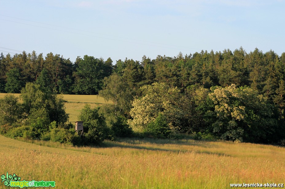 Krajina - Foto František Novotný (2)