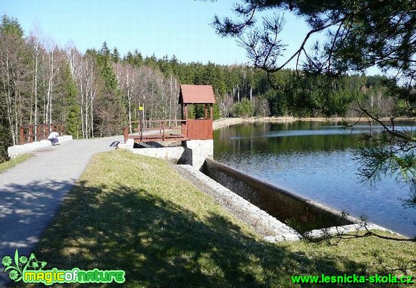 Černý rybník - Foto Miloš Plánský