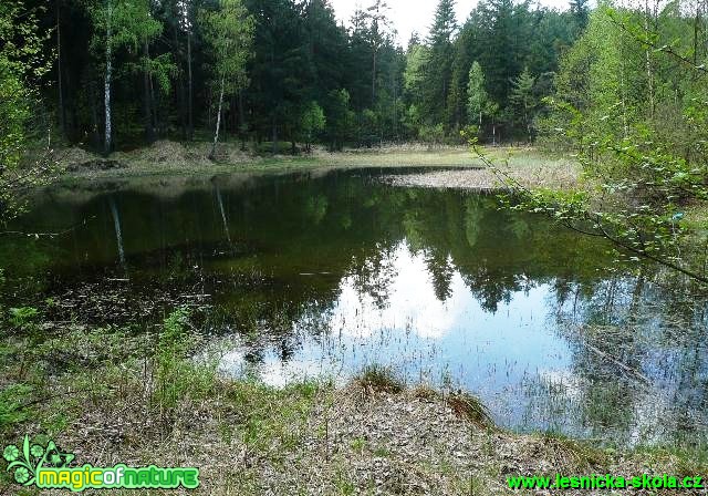 Noldenteich u Lísky - Foto Miloš Plánský