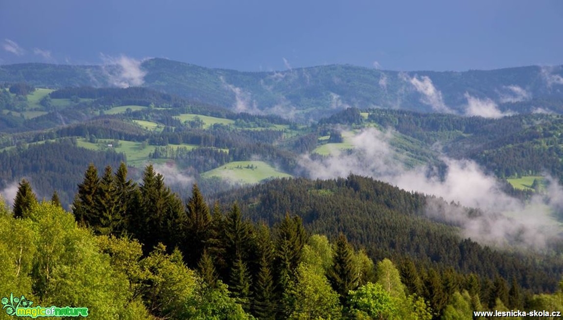 Na horách po dešti - Foto Jan Valach