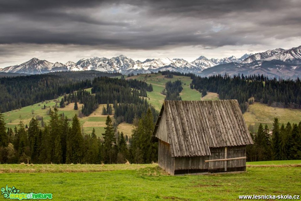 Tatry - Foto Jozef Pitoňák (8)