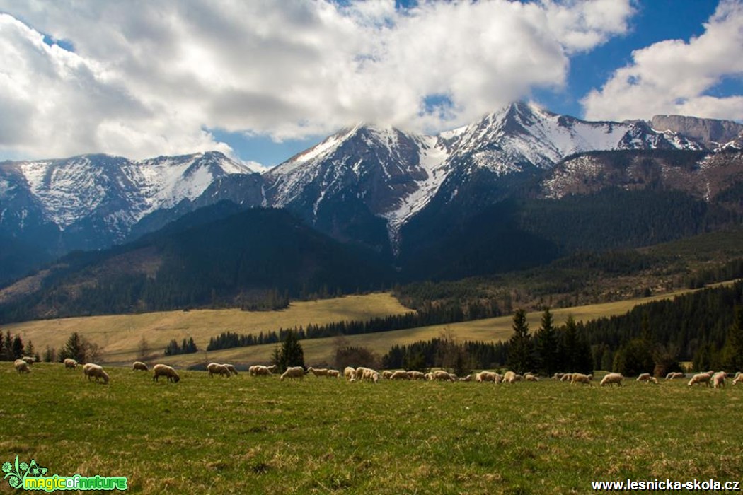 Tatry - Foto Jozef Pitoňák (9)