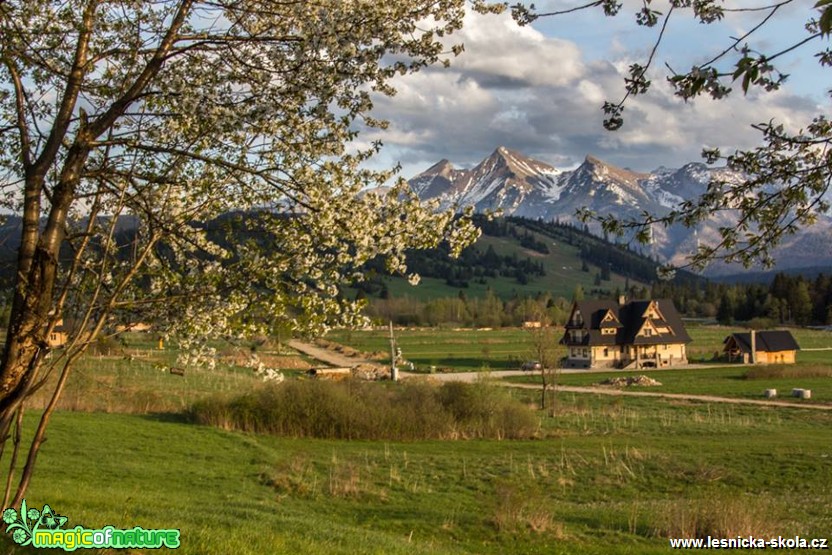 Tatry - Foto Jozef Pitoňák (15)