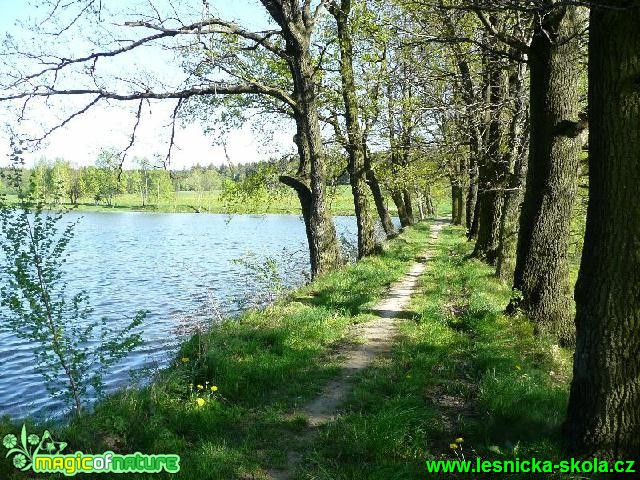 Solanský rybník - Foto Miloš Plánský