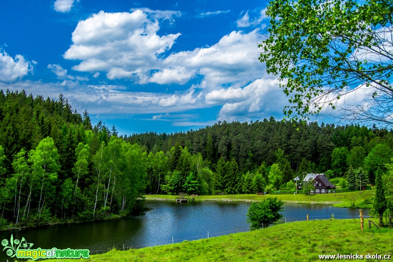 Přehrada v Kyjově - Foto David Hlinka