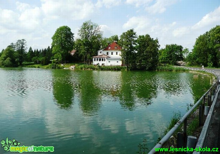 Školní rybník - Foto Miloš Plánský