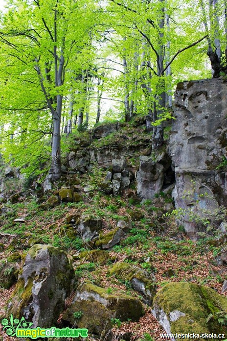 Skalní útvar Čertův mlýn na Girové - Foto Jan Valach (1)