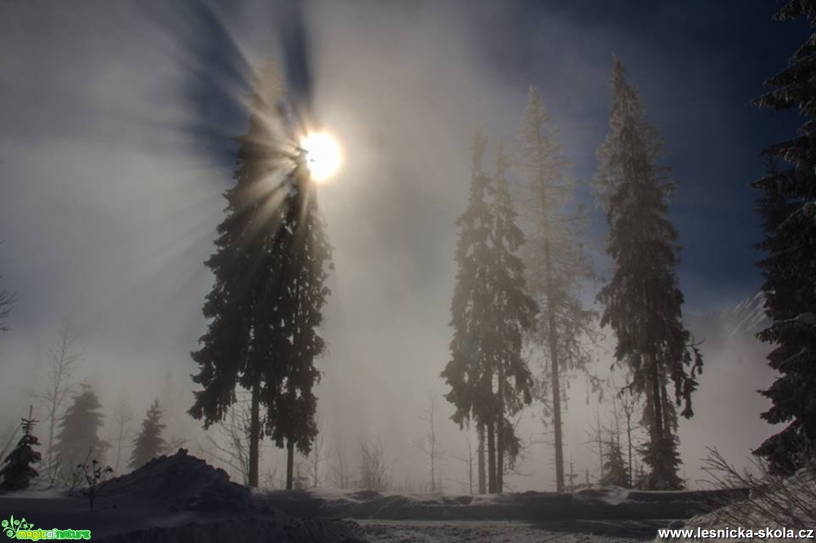 Souboj s mlhou - Foto Jozef Pitoňák