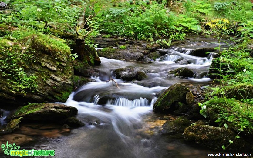 Rešovské vodopády - Foto Marie Vykydalová