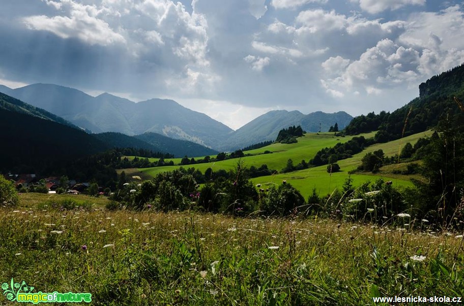 Malý výlet v Malé Fatře - Foto Dezider Tocka (7)