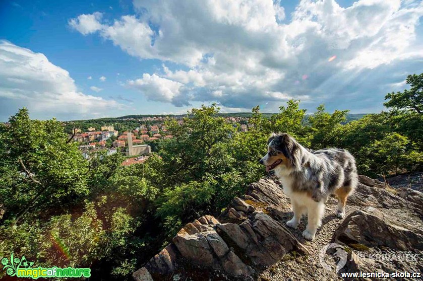 Na vyhlídce - Foto Jiří Křivánek