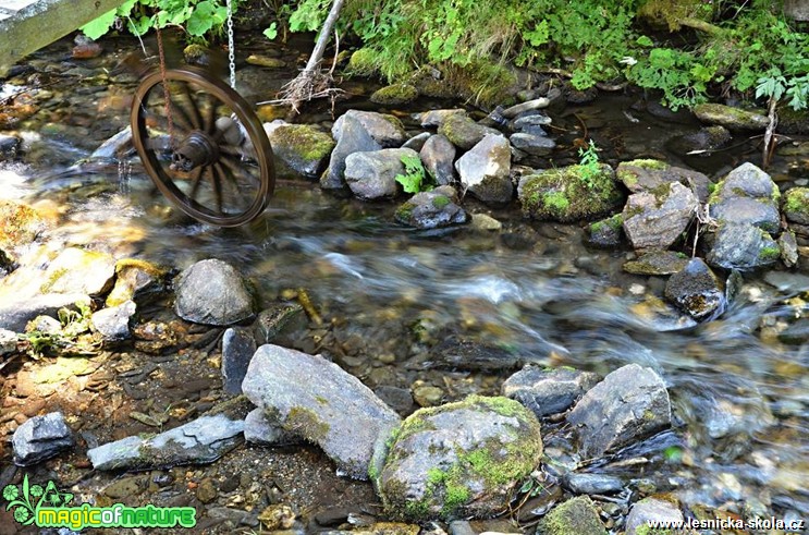 U potůčku - Foto Marie Vykydalová