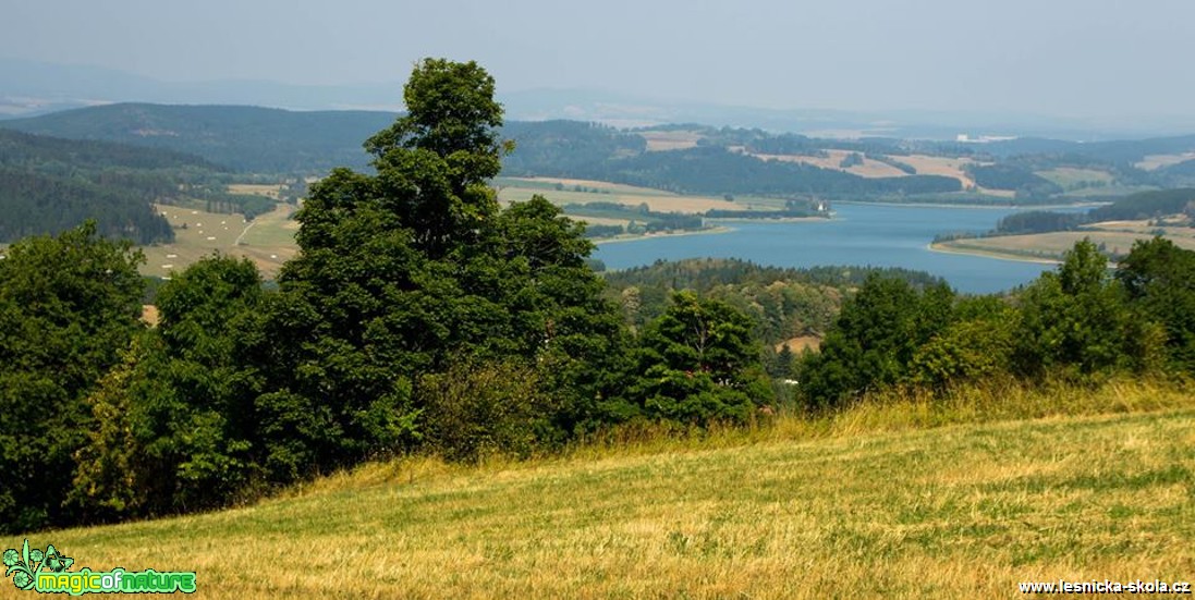 Výhled na Slezkou Hartu po cestě na Velký Roudný - Foto Jan Valach