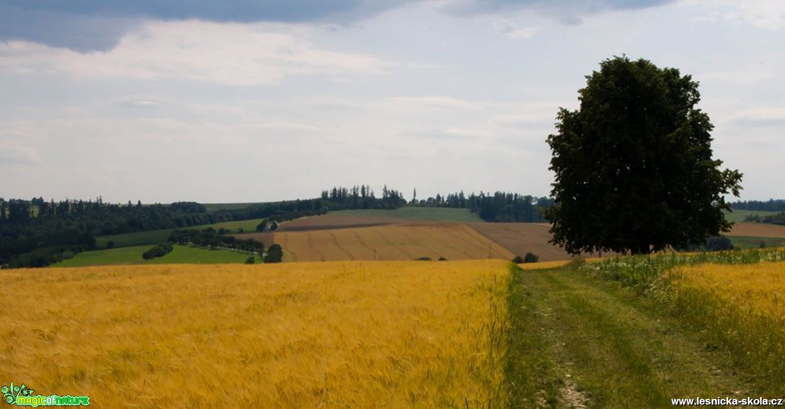 Cesta mezi poli - Foto Jan Valach