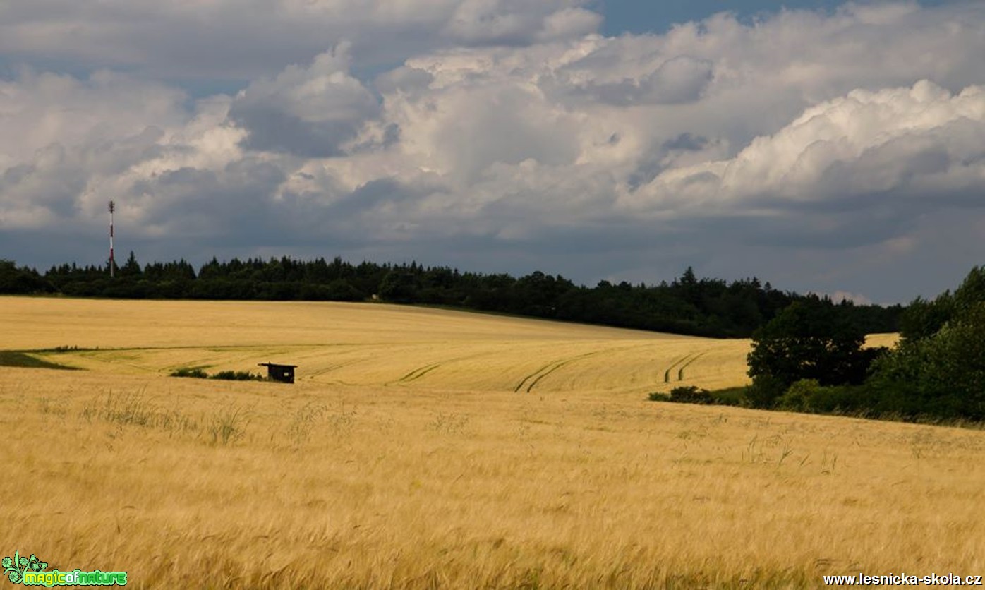 Oblaka nad obilím - Foto Jan Valach