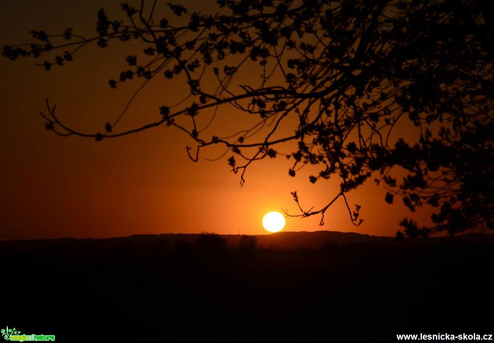 V podvečer - Foto Marie Vykydalová