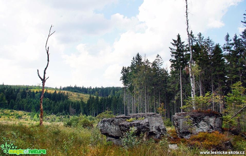 V Lužických horách - Foto Petr Germanič (1)