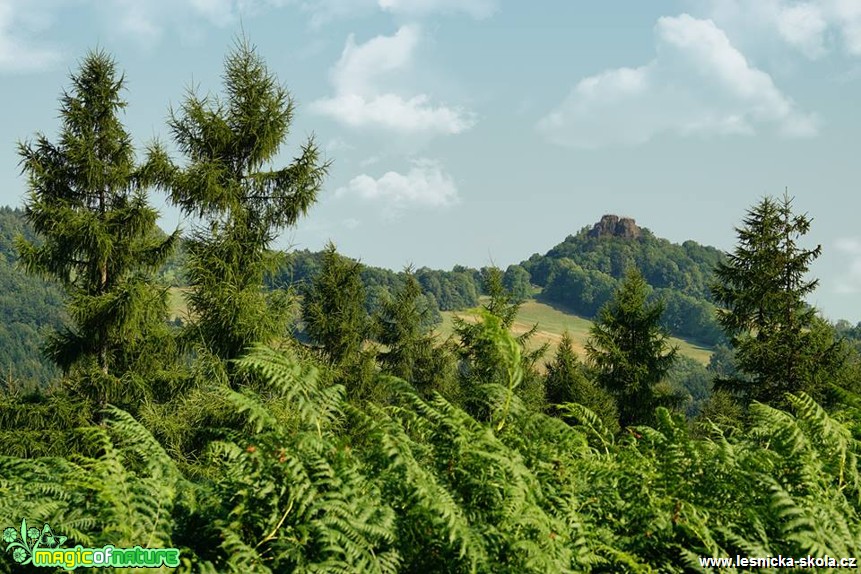 V Lužických horách - Foto Petr Germanič (8)