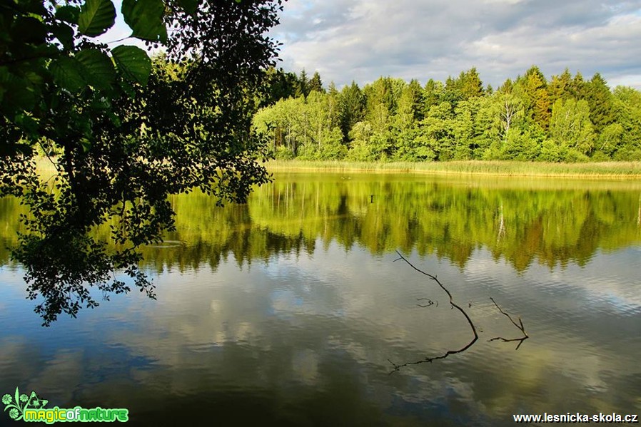 Z Hřebenky do Janova - Foto Petr Germanič