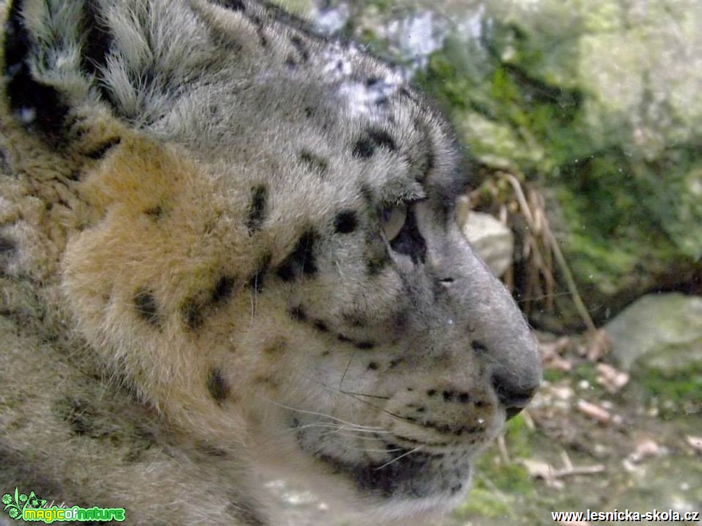 ZOO Liberec - Foto Jiří Havel (12)