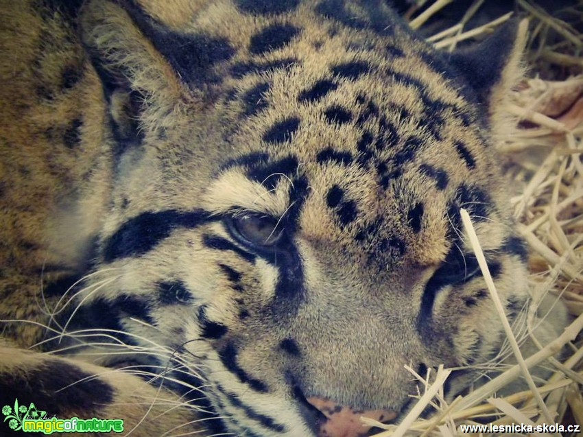 ZOO Liberec - Foto Jiří Havel (14)