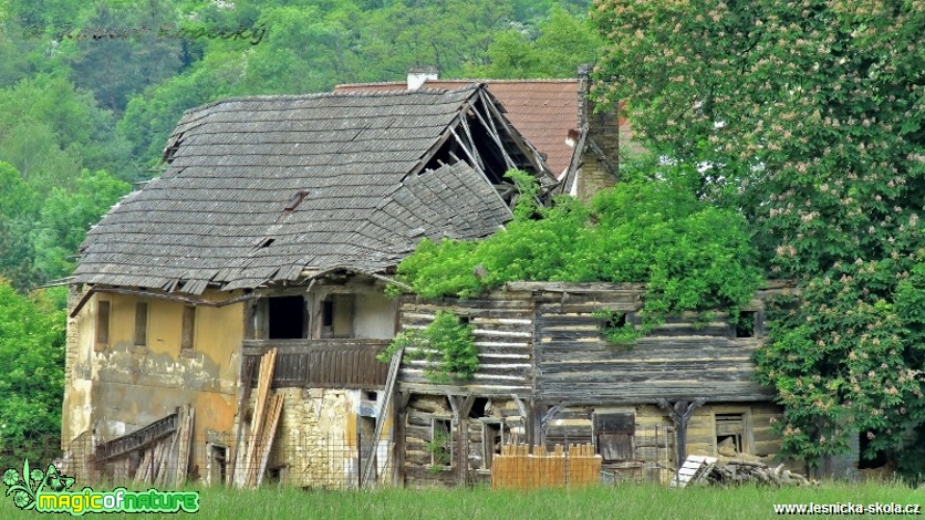 Zub času - Foto Robert Kopecký