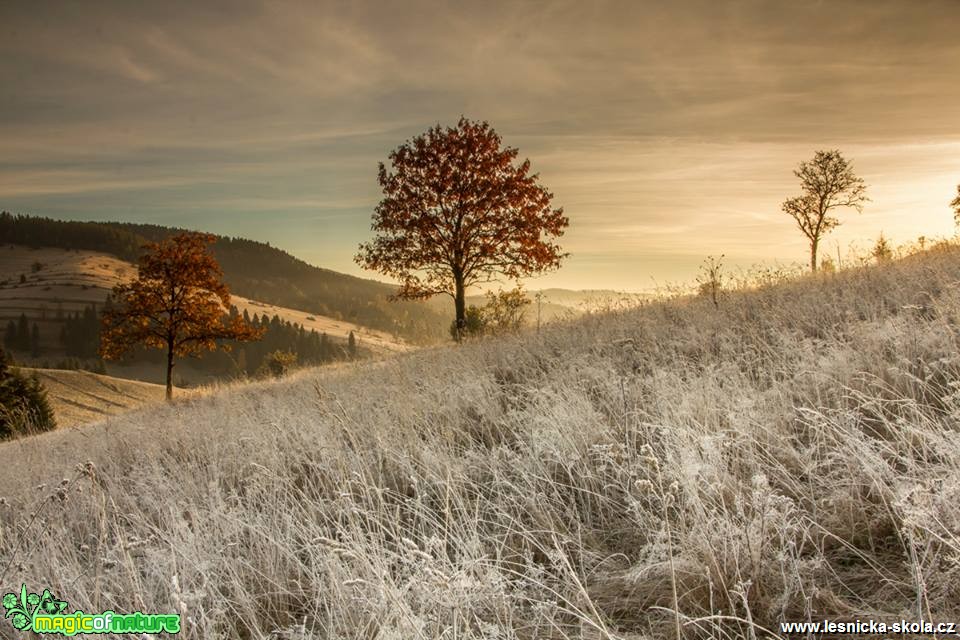 Říjnové hory - Foto Jozef Pitoňák (6)