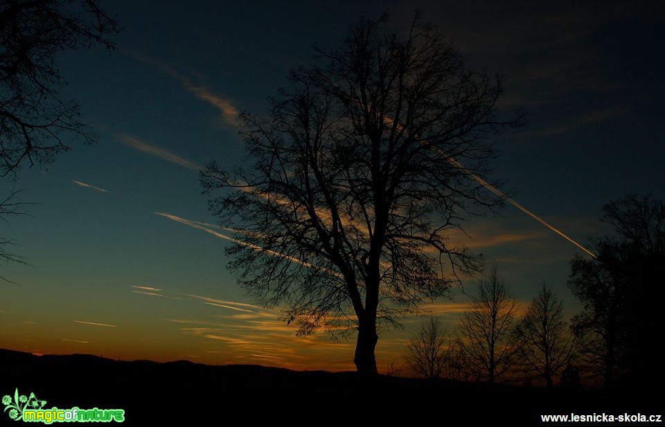 Západovka - Foto Ladilsav Jonák (2)