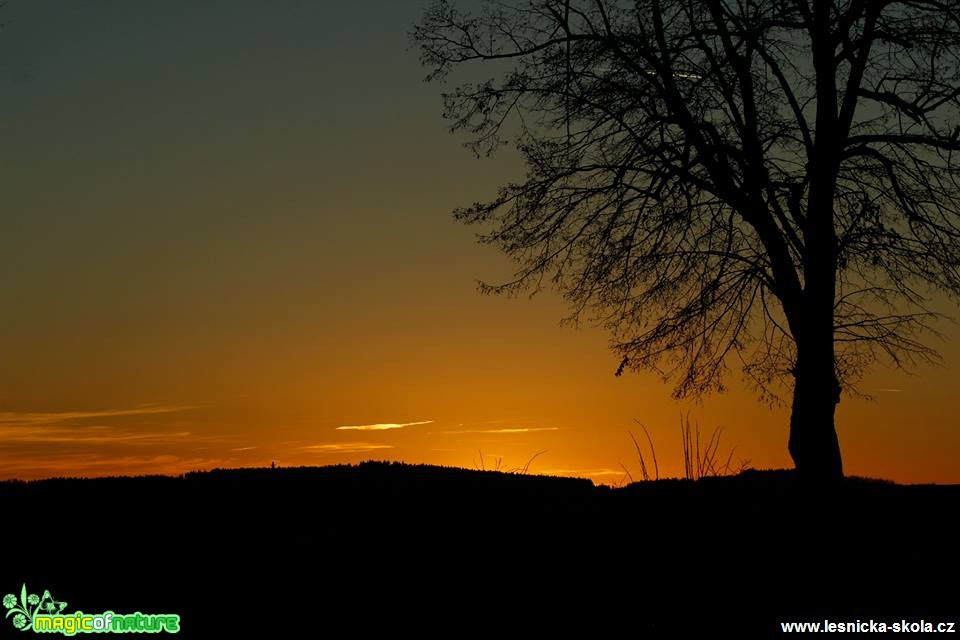 Západovka - Foto Ladilsav Jonák