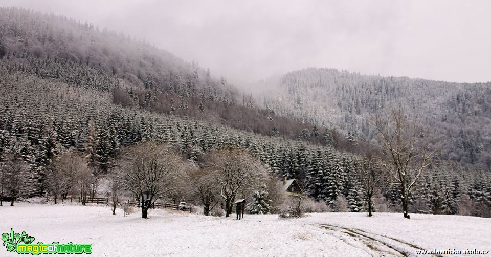 Ladovská zima pod Lysou horou - Foto Jan Valach
