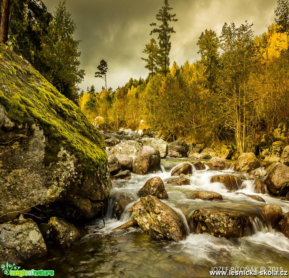 Pod Smokovcami - Foto Jozef Pitoňák