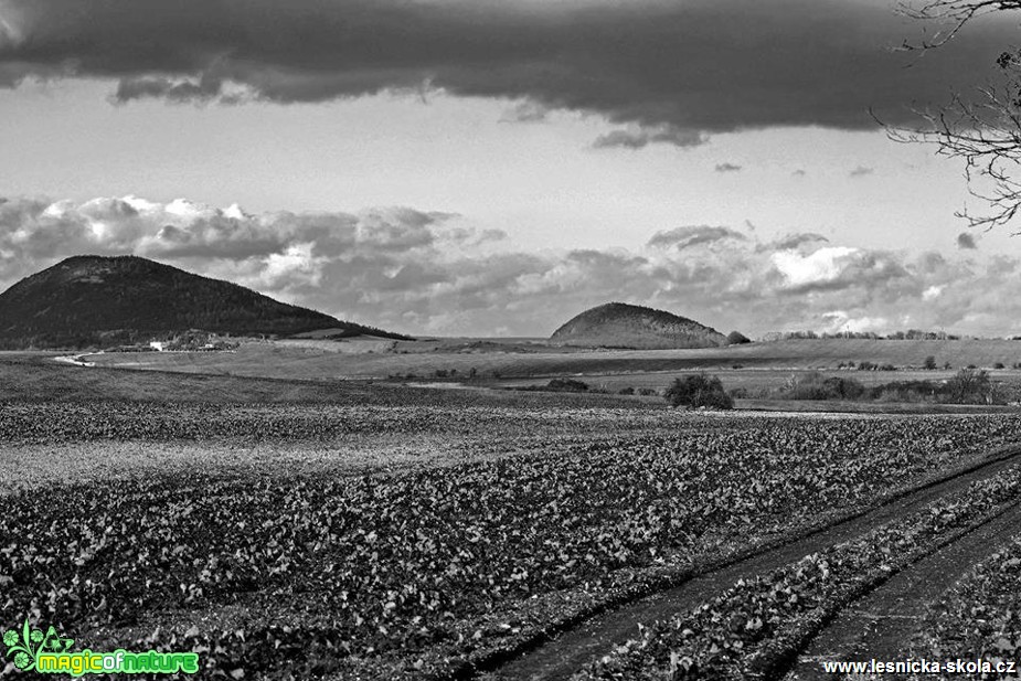 Zemědělská krajina - Foto Pavel Ulrych (2)