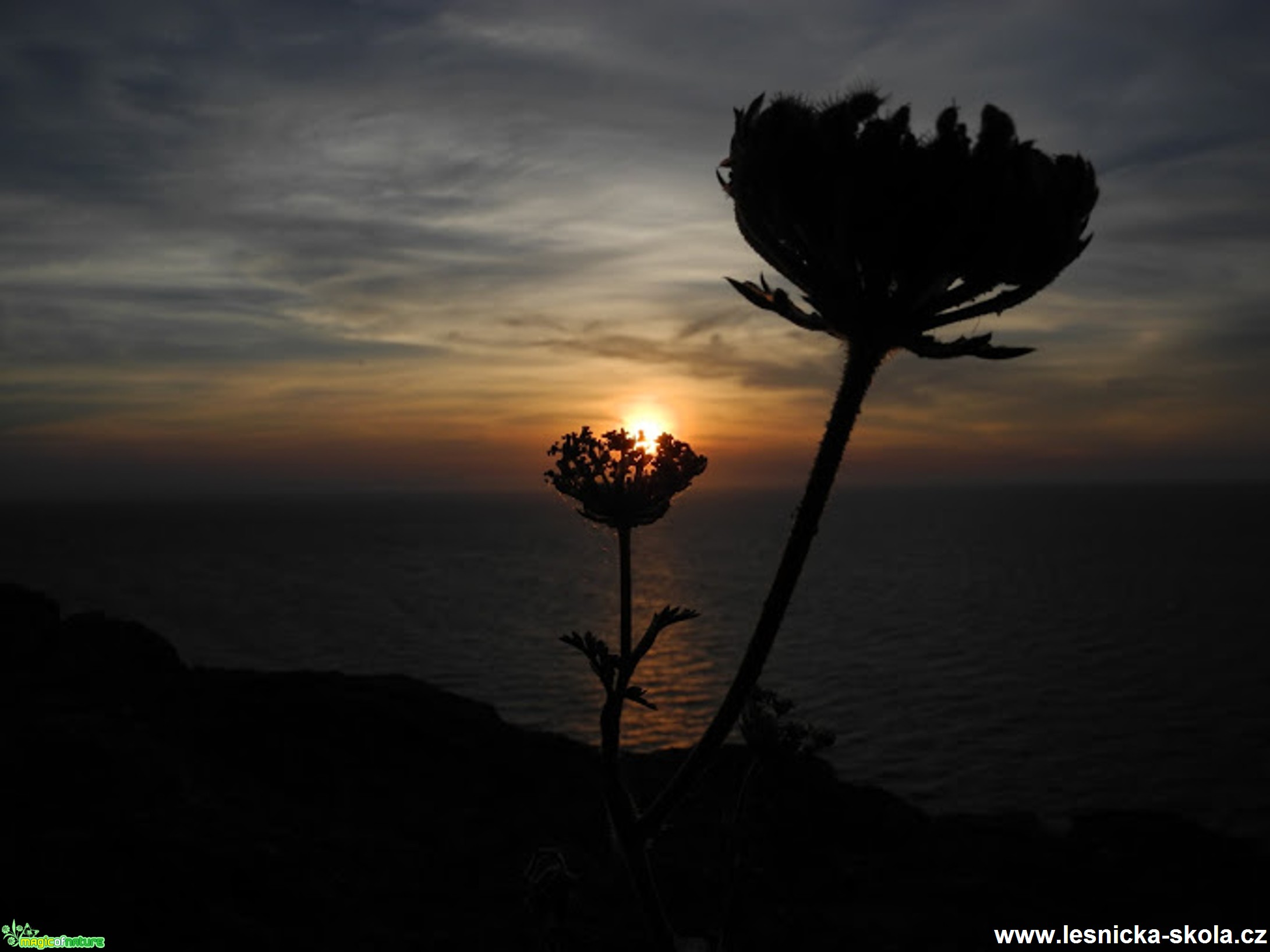 Sardinie - 06. 2015 - Foto Tomáš Kunze (6)