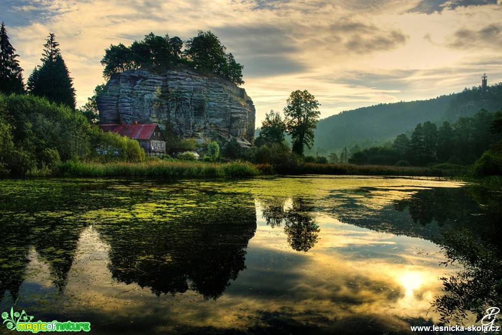 Čtvero ročních období - Foto Petr Germanič (4)