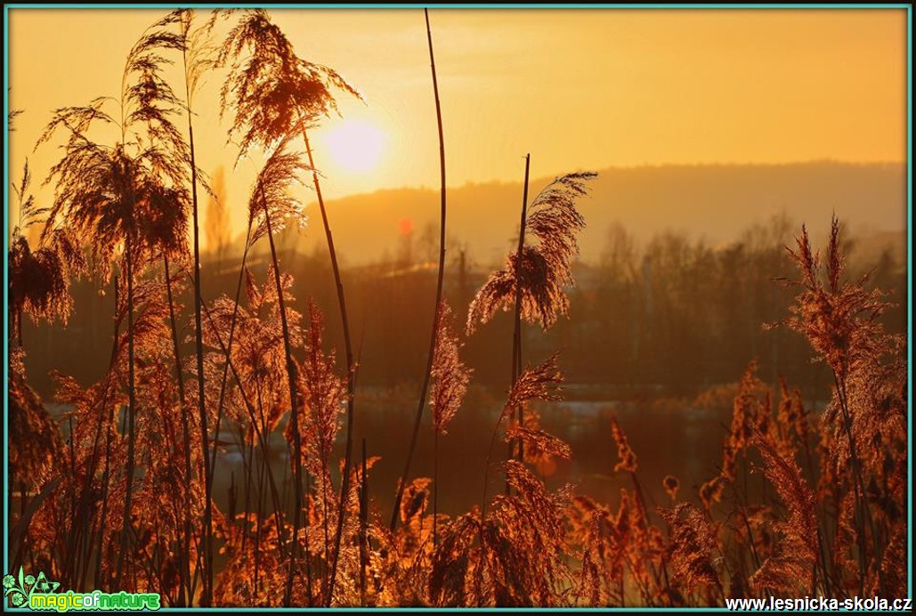 V moci slunce - Foto Jiří Perlík (2)