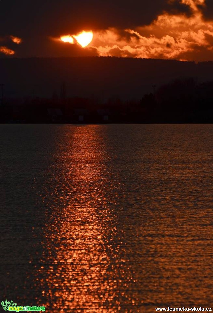 Slunce na hladině - Foto Marie Vykydalová