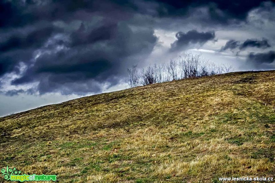 Zimní obloha - Foto Pavel Ulrych