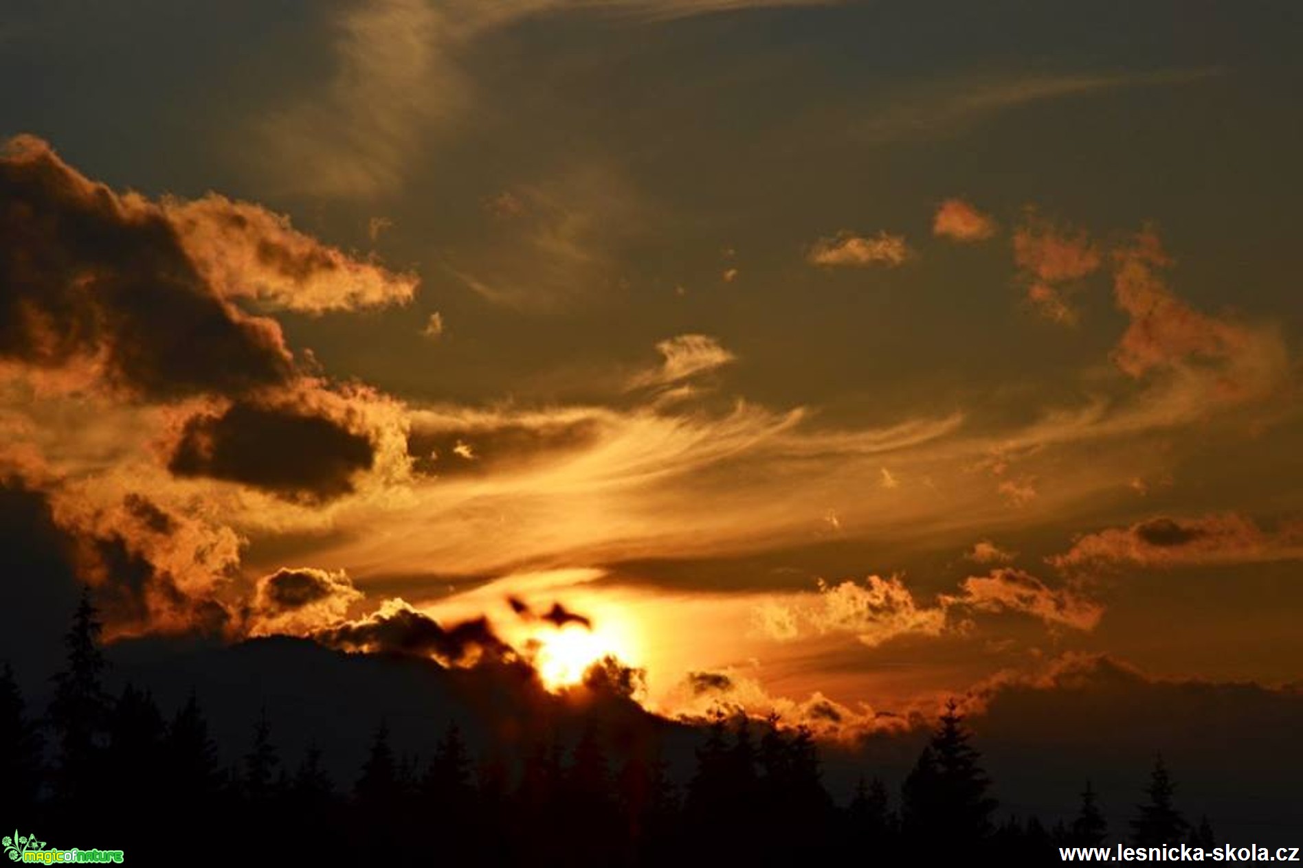 Střípky ze Slovenska - Foto Marie Vykydalová (6)