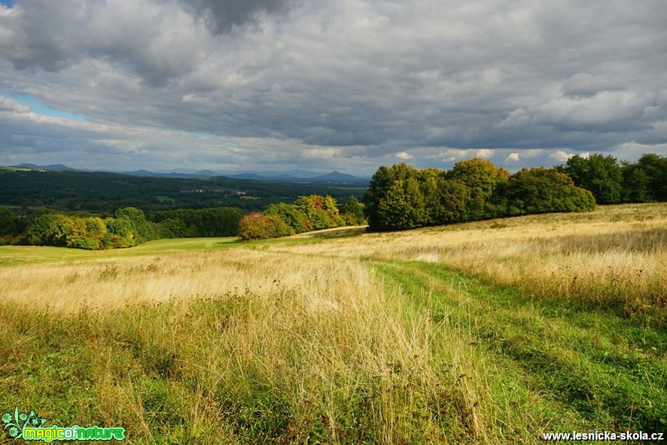 Pohledovka podmračená - Foto Petr Germanič